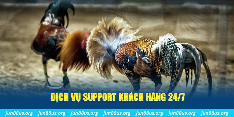 betvisa slot ÁT CHỦ BÀI GIÀNH LẤY ZHUANG NIUNIU ( XEM 4 LÁ )