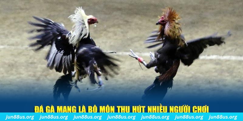 betvisa slot bắn cá au88