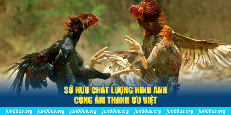 betvisa slot PP Điện Tử