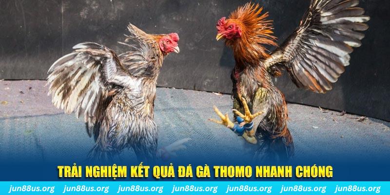 betvisa slot tai game danh bai bigkool ve may tinh