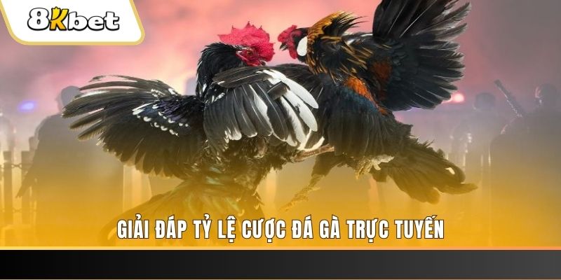 betvisa slot xổ số đài miền trung