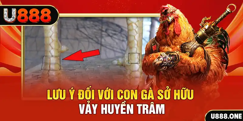 betvisa slot kết quả xổ số miền nam hôm nay