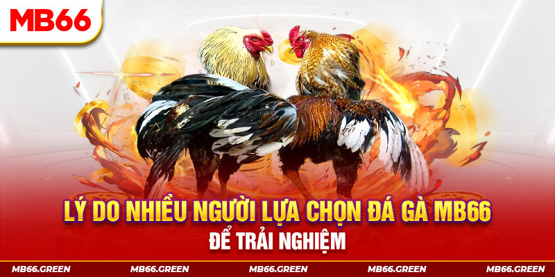 betvisa slot xổ số miền bắc thứ bảy hàng tuần