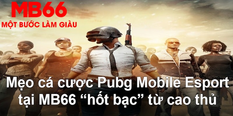 betvisa slot VA Bắn cá