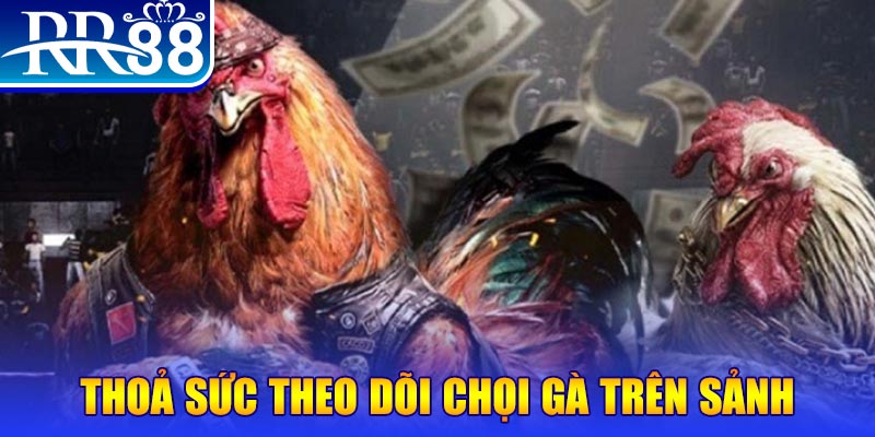 betvisa slot trực tiếp đá gà c1