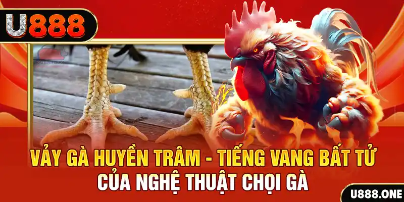 betvisa slot xổ số miền bắc ngày hôm nay
