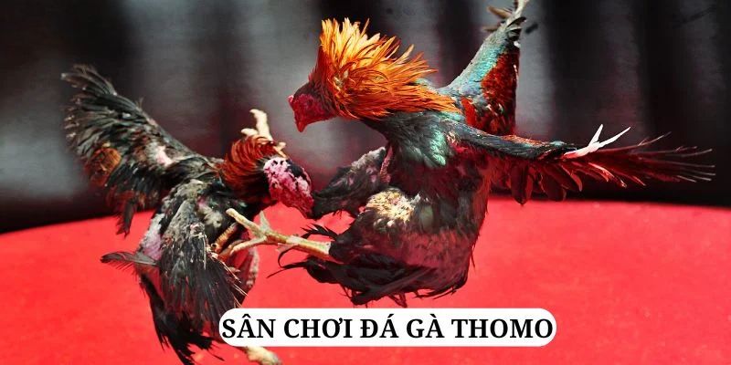 betvisa slot trực tiếp xổ số miền bắc